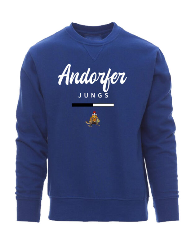 Team-Junge Sweatshirt – Bild 2