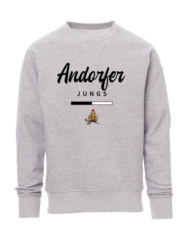 Team-Junge Sweatshirt – Bild 2