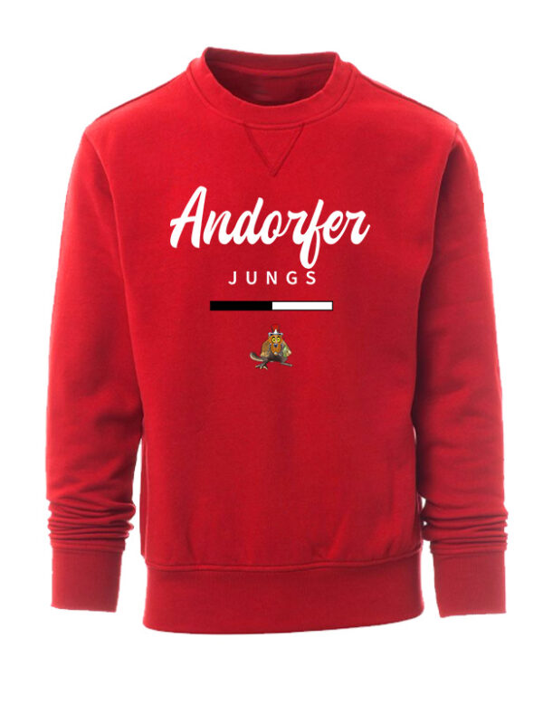 Team-Junge Sweatshirt – Bild 3