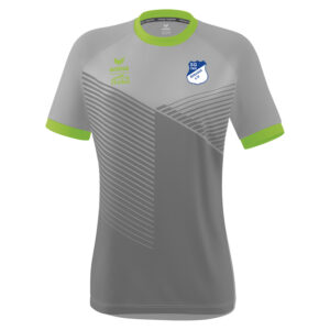 silver grey/green gecko