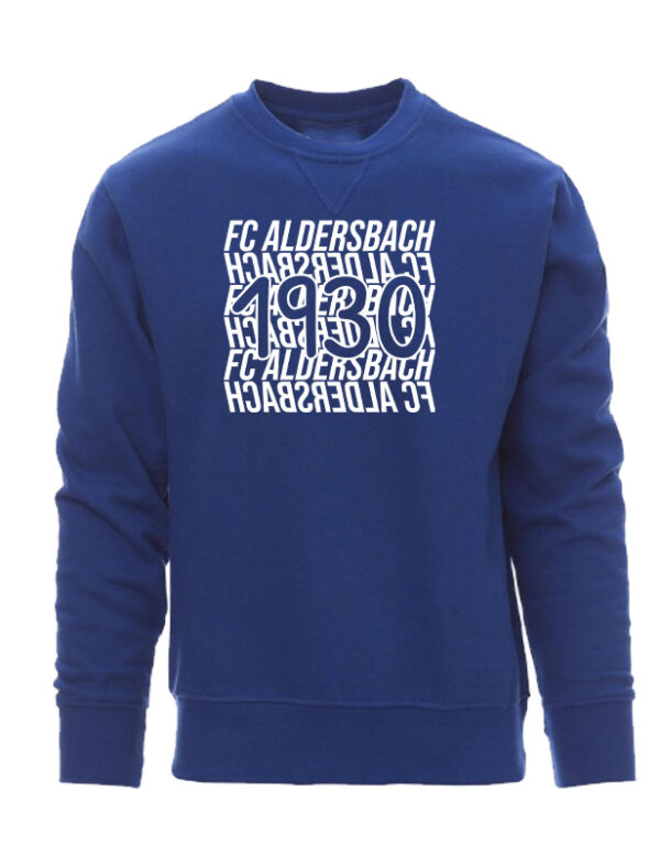 Icon Sweatshirt – Bild 2