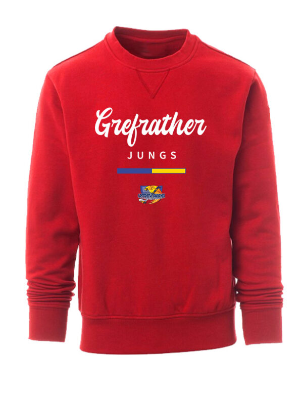 Team-Junge Sweatshirt – Bild 3