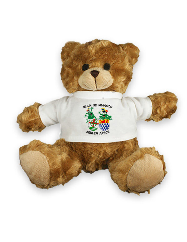 Teddybär mit Teamshirt