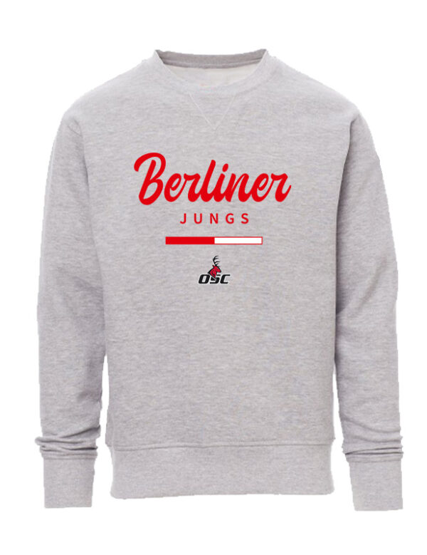 Team-Junge Sweatshirt – Bild 3