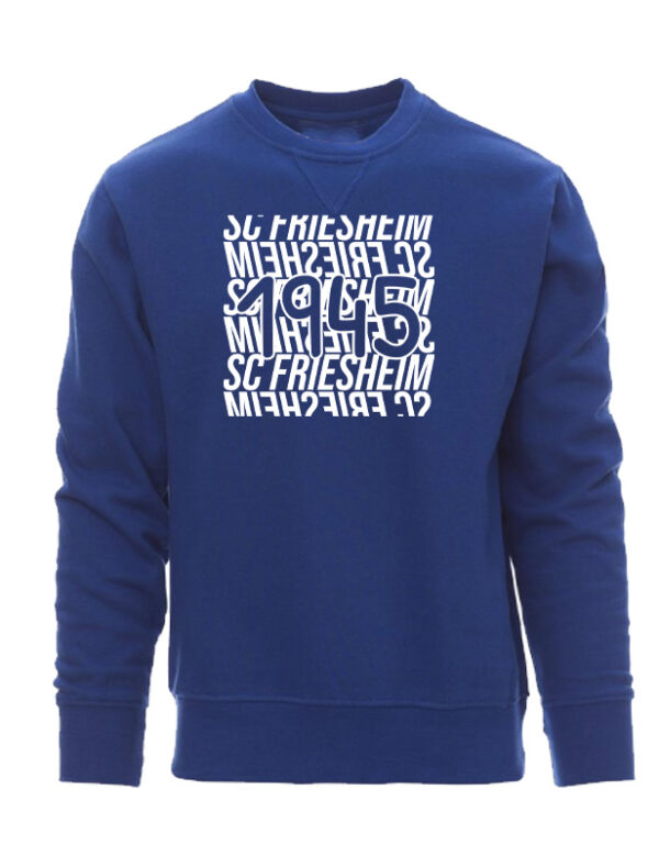 Icon Sweatshirt – Bild 2