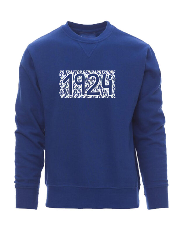 Icon Sweatshirt – Bild 3