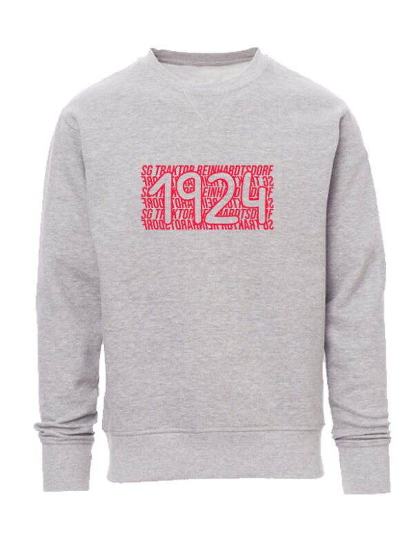 Icon Sweatshirt – Bild 3