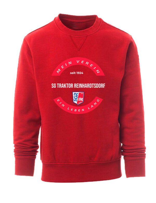 Swoosh! Sweatshirt
