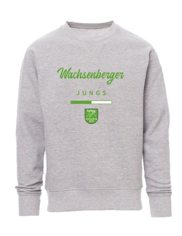 Team-Junge Sweatshirt – Bild 2