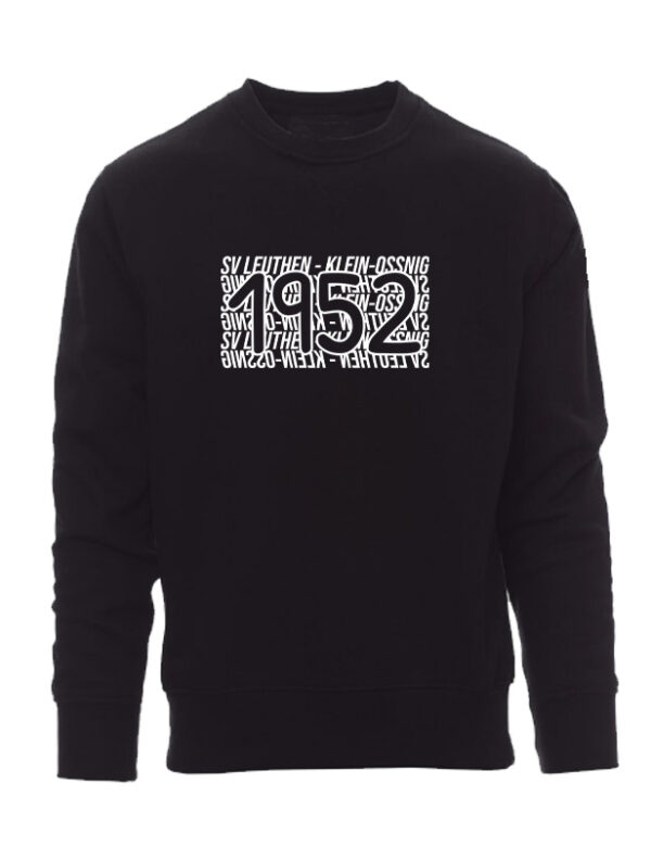 Icon Sweatshirt – Bild 2