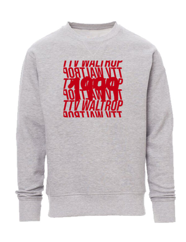 Icon Sweatshirt – Bild 3