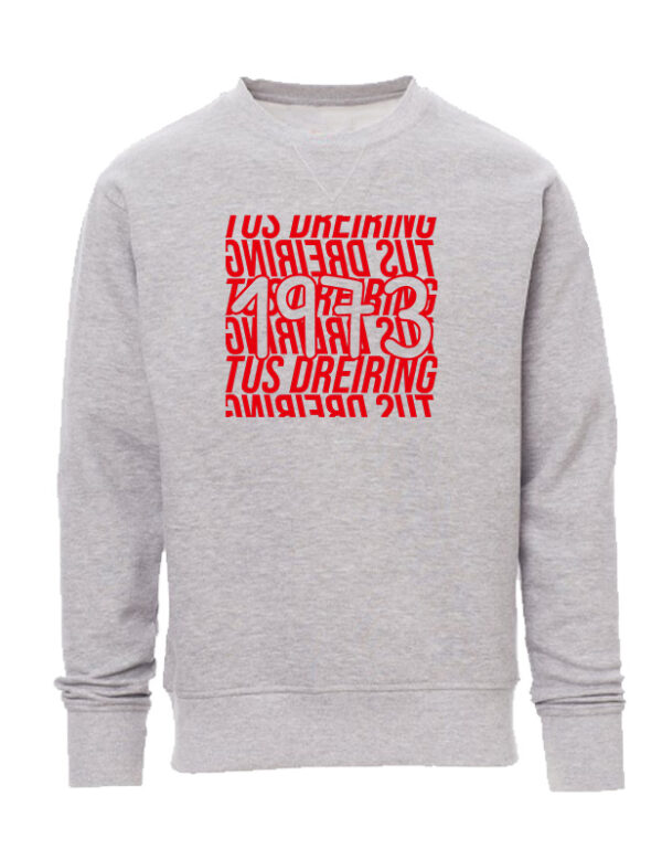 Icon Sweatshirt – Bild 3