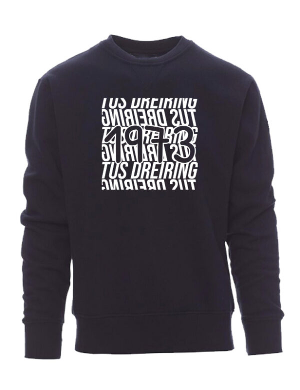 Icon Sweatshirt – Bild 4