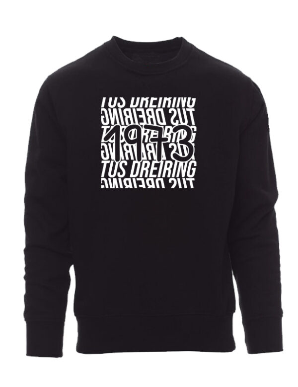 Icon Sweatshirt – Bild 2